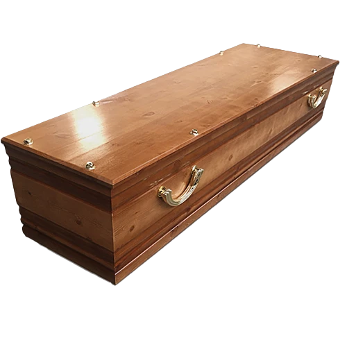 France Import Pine Coffin